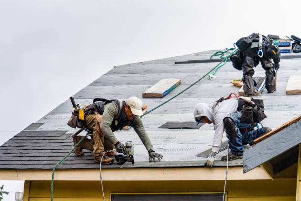 Professional Roofing technician working in Essex, IL